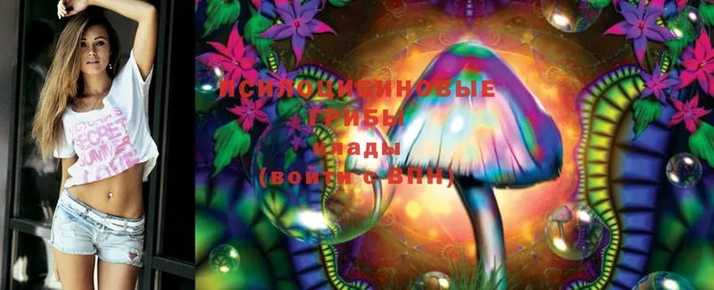 где продают   Омск  Галлюциногенные грибы MAGIC MUSHROOMS 